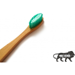 BI-Toothbrush-Green-07-600×600