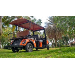 electric-golf-cart-4-seater-500×500 (3)