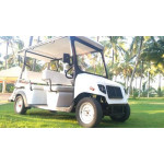 electric-golf-cart-4-seater-500×500 (5)