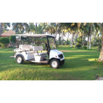 electric-golf-cart-4-seater-500×500 (7)