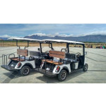 electric-golf-cart-500×500 (2)