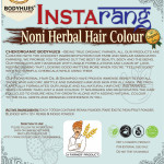 Chekorganic Bodyhues Noni Herbal Hair color – back-FF
