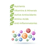 GreenQuris_Moringa_Nutrients_List